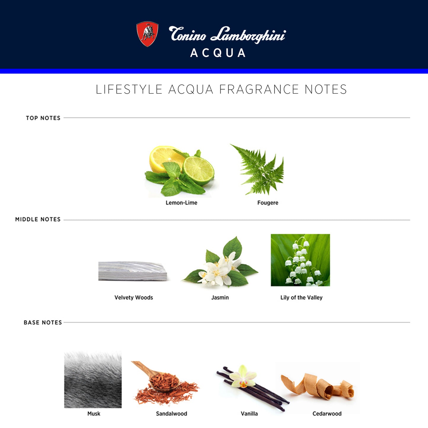 Acqua Eau De Toilette