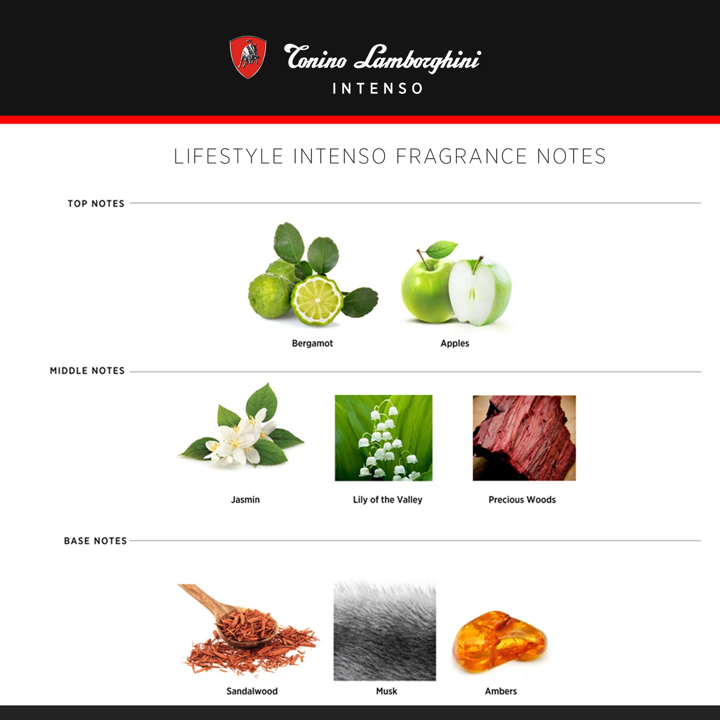 Intenso Gift Set