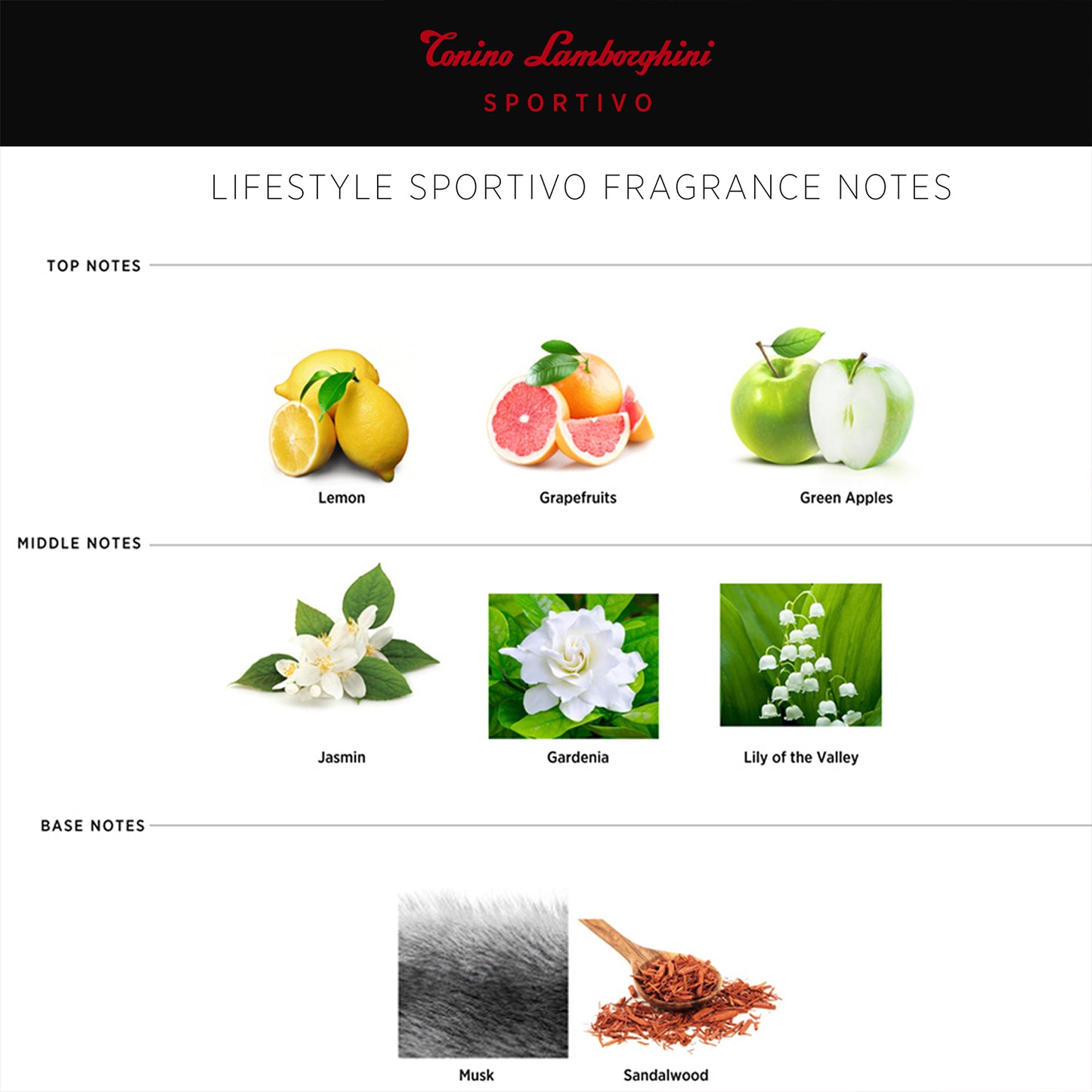 SPORTIVO Gift Set